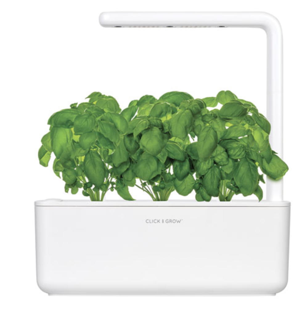 A Click & Grow smart garden with lush green basil leaves.